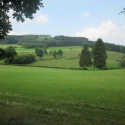 IMG 0662 - Scouts en Gidsen Zaventem 